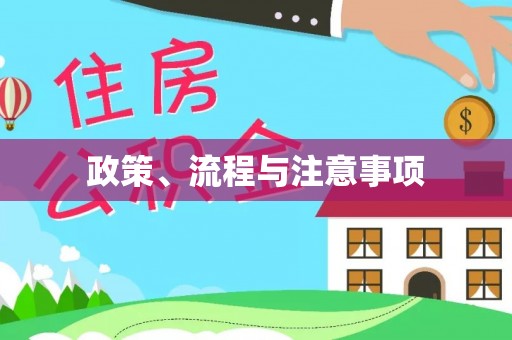 平果政策、流程与注意事项