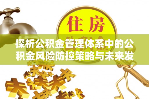 平果探析公积金管理体系中的公积金风险防控策略与未来发展