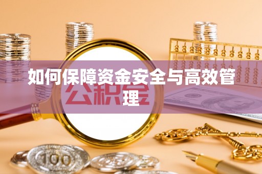 平果如何保障资金安全与高效管理