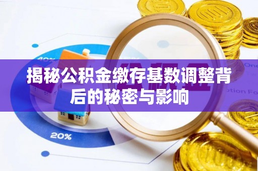 平果揭秘公积金缴存基数调整背后的秘密与影响