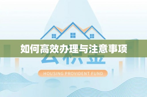 平果如何高效办理与注意事项