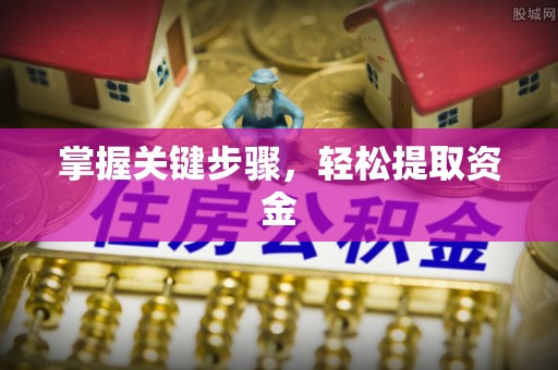 平果掌握关键步骤，轻松提取资金