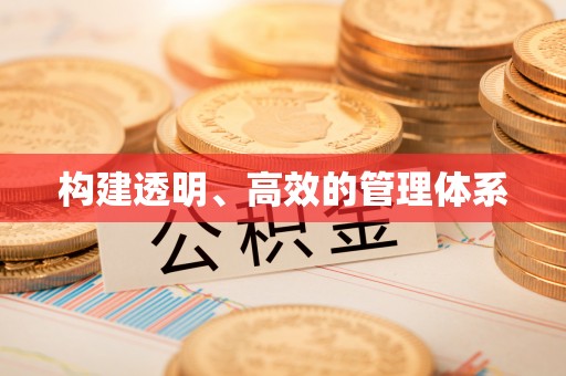 平果构建透明、高效的管理体系