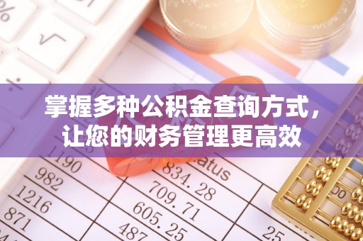 平果掌握多种公积金查询方式，让您的财务管理更高效