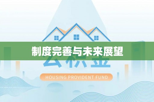 平果制度完善与未来展望