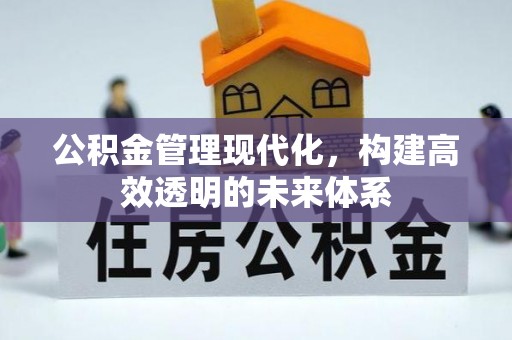 平果公积金管理现代化，构建高效透明的未来体系