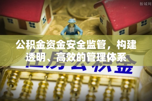 平果公积金资金安全监管，构建透明、高效的管理体系