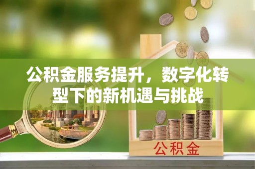 平果公积金服务提升，数字化转型下的新机遇与挑战