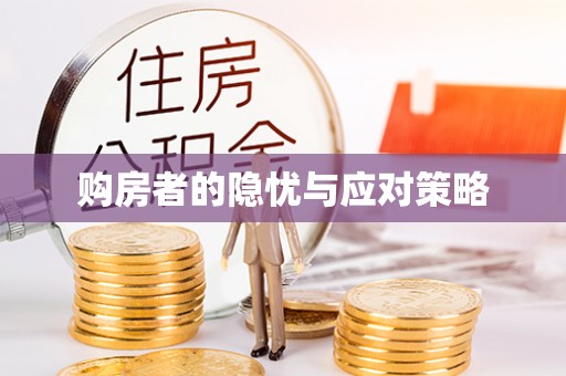 平果购房者的隐忧与应对策略