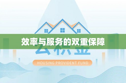 平果效率与服务的双重保障
