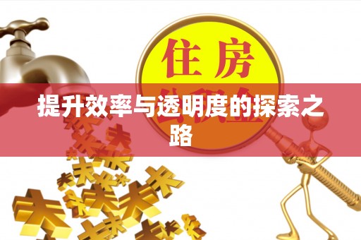 平果提升效率与透明度的探索之路