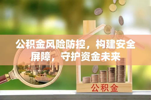 平果公积金风险防控，构建安全屏障，守护资金未来