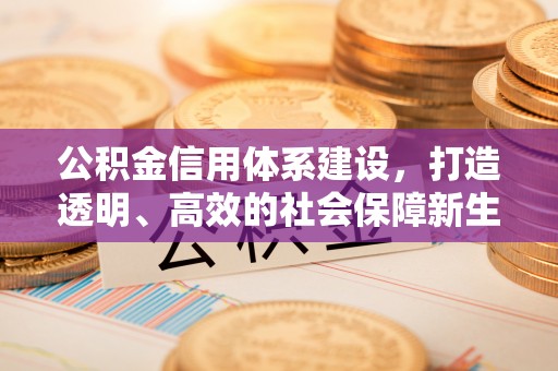 平果公积金信用体系建设，打造透明、高效的社会保障新生态