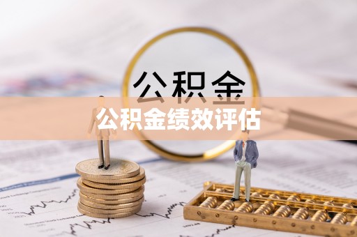 平果公积金绩效评估