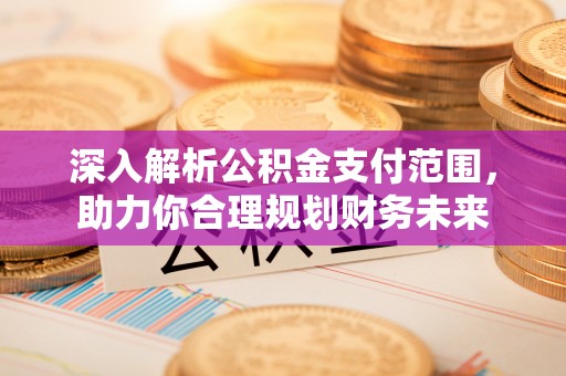平果深入解析公积金支付范围，助力你合理规划财务未来