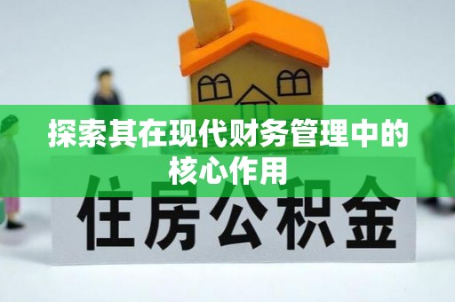 平果探索其在现代财务管理中的核心作用