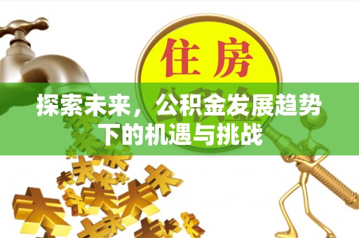 平果探索未来，公积金发展趋势下的机遇与挑战
