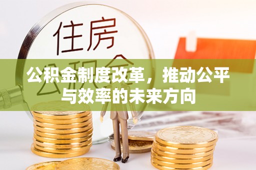 平果公积金制度改革，推动公平与效率的未来方向