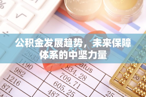 平果公积金发展趋势，未来保障体系的中坚力量