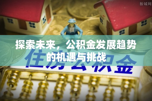 平果探索未来，公积金发展趋势的机遇与挑战