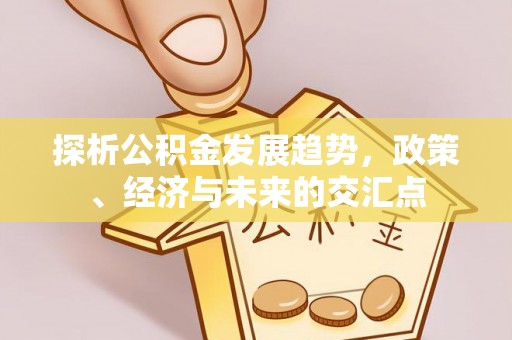 平果探析公积金发展趋势，政策、经济与未来的交汇点