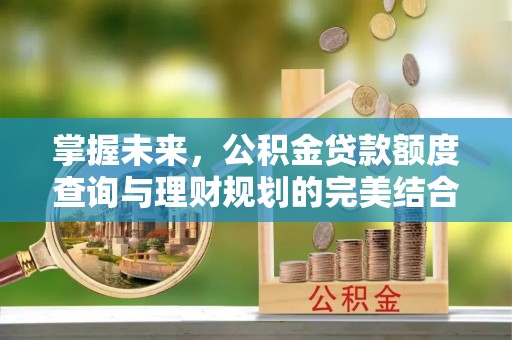 平果掌握未来，公积金贷款额度查询与理财规划的完美结合
