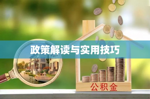 平果政策解读与实用技巧