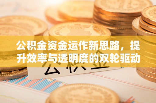 平果公积金资金运作新思路，提升效率与透明度的双轮驱动