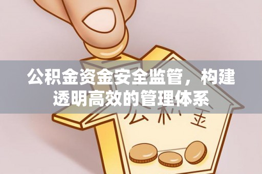 平果公积金资金安全监管，构建透明高效的管理体系