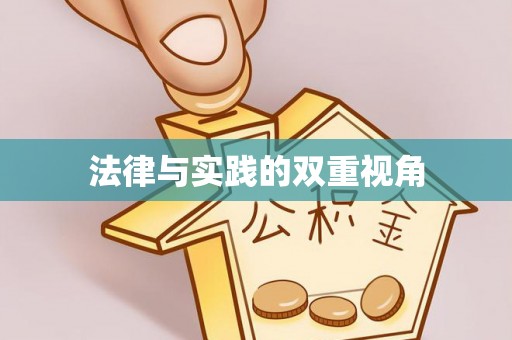 平果法律与实践的双重视角