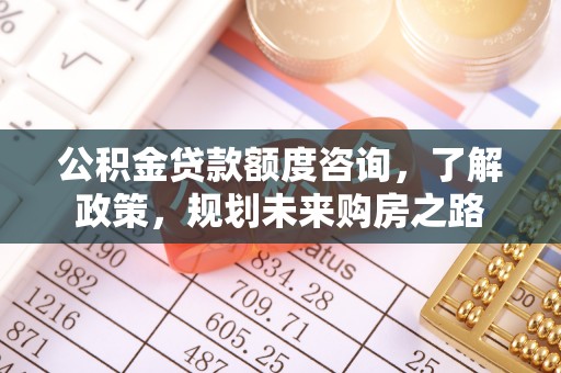 平果公积金贷款额度咨询，了解政策，规划未来购房之路