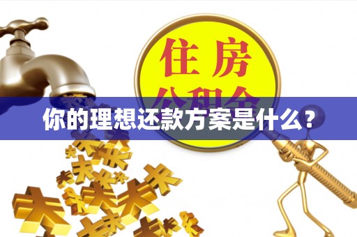 平果你的理想还款方案是什么？