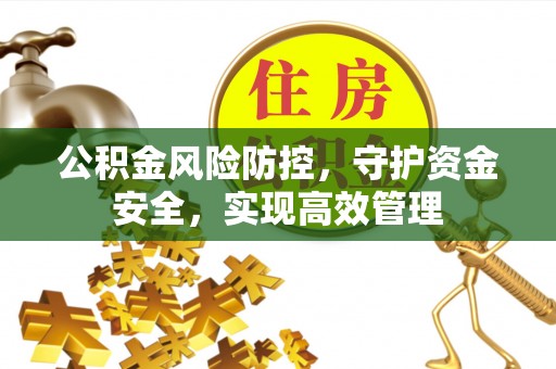 平果公积金风险防控，守护资金安全，实现高效管理
