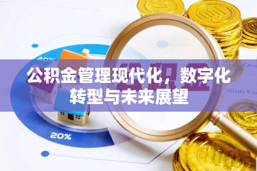 平果公积金管理现代化，数字化转型与未来展望