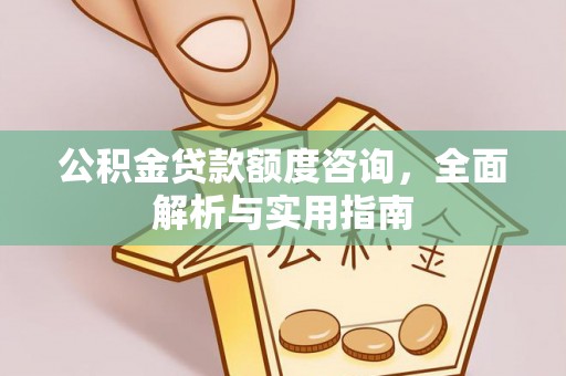 平果公积金贷款额度咨询，全面解析与实用指南