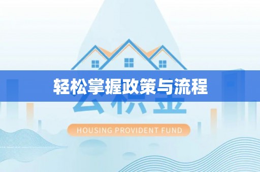 平果轻松掌握政策与流程