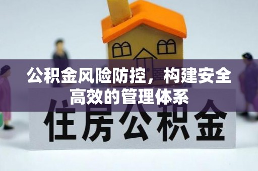 平果公积金风险防控，构建安全高效的管理体系