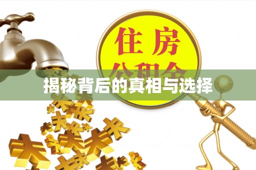 平果揭秘背后的真相与选择