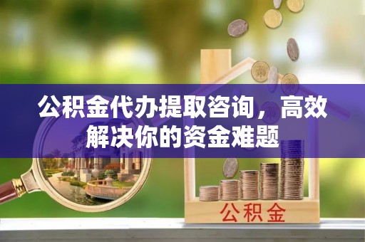 平果公积金代办提取咨询，高效解决你的资金难题