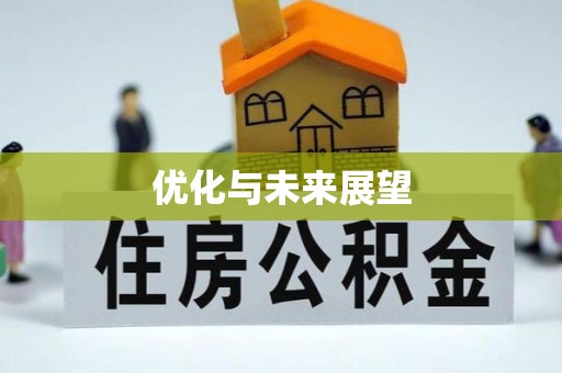 平果优化与未来展望