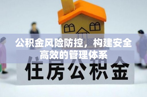 平果公积金风险防控，构建安全高效的管理体系