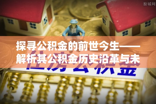 平果探寻公积金的前世今生——解析其公积金历史沿革与未来方向