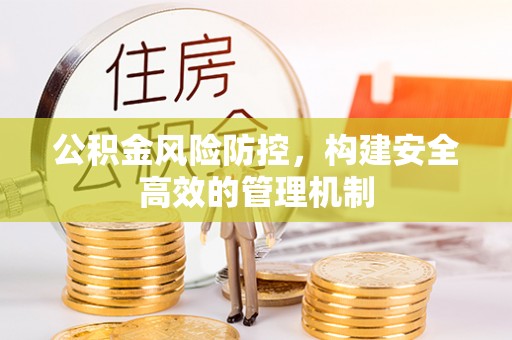 平果公积金风险防控，构建安全高效的管理机制