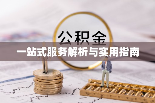 平果一站式服务解析与实用指南