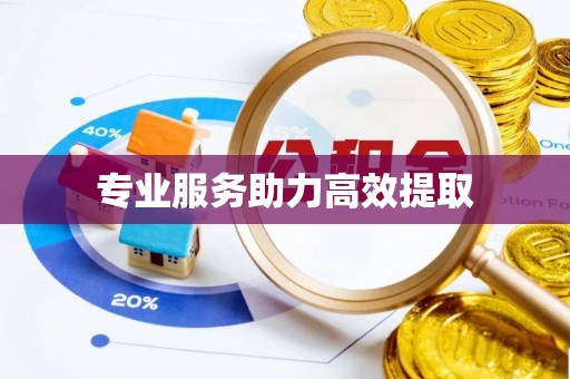 平果专业服务助力高效提取