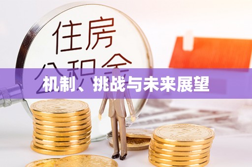平果机制、挑战与未来展望