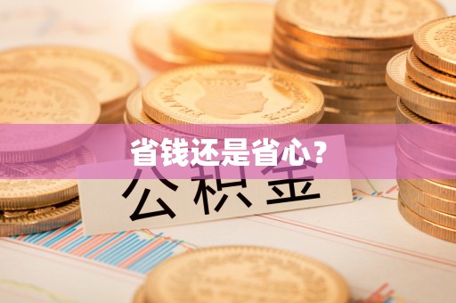 平果省钱还是省心？