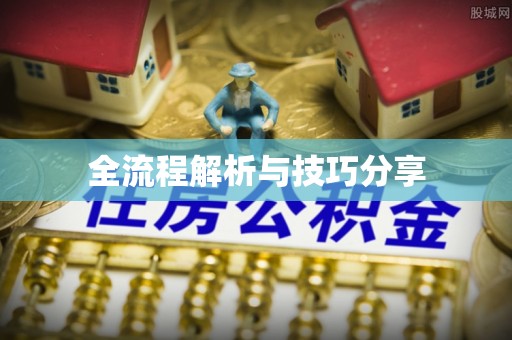 平果全流程解析与技巧分享