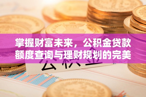 平果掌握财富未来，公积金贷款额度查询与理财规划的完美结合