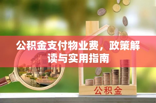 平果公积金支付物业费，政策解读与实用指南
